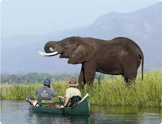 About MontenegroTenders